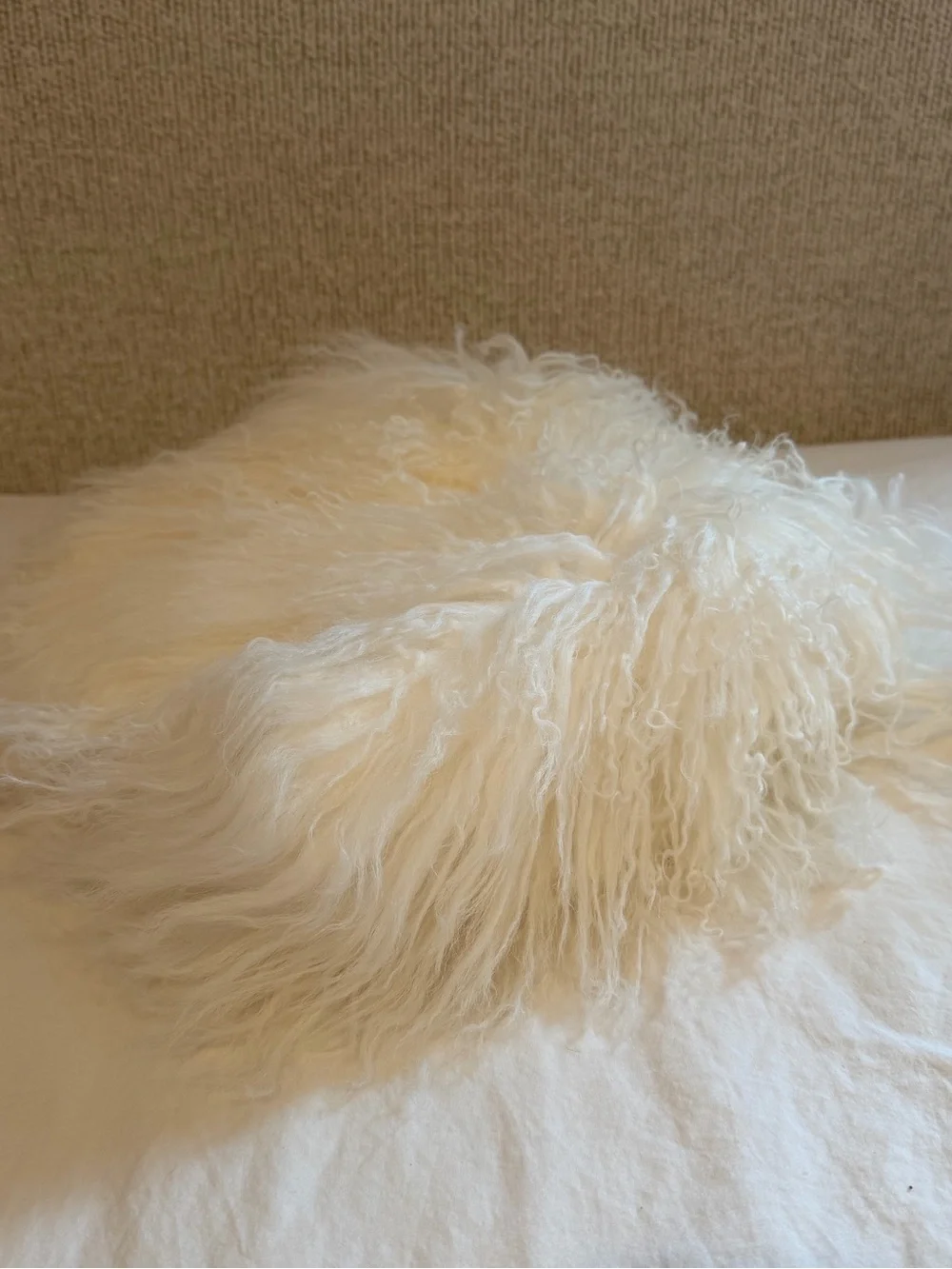 Quince Luxe Mongolian Lamb Pillow Cover 20x20